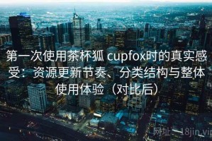 第一次使用茶杯狐 cupfox时的真实感受：资源更新节奏、分类结构与整体使用体验（对比后）