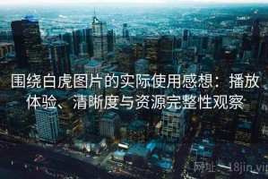 围绕白虎图片的实际使用感想：播放体验、清晰度与资源完整性观察