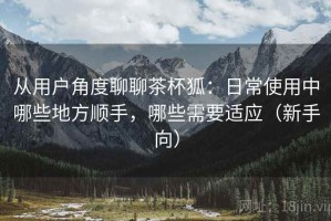 从用户角度聊聊茶杯狐：日常使用中哪些地方顺手，哪些需要适应（新手向）
