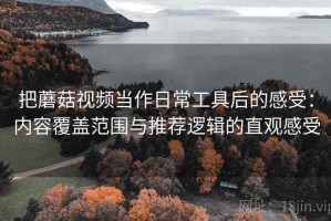 把蘑菇视频当作日常工具后的感受：内容覆盖范围与推荐逻辑的直观感受
