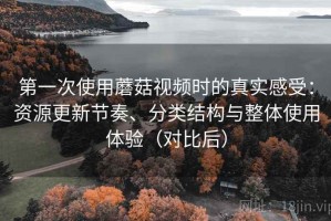 第一次使用蘑菇视频时的真实感受：资源更新节奏、分类结构与整体使用体验（对比后）