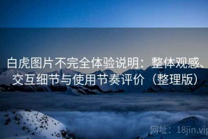 白虎图片不完全体验说明：整体观感、交互细节与使用节奏评价（整理版）