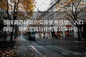 围绕蘑菇网站的实际使用感想：入口路径、导航逻辑与找内容效率评估（新手向）