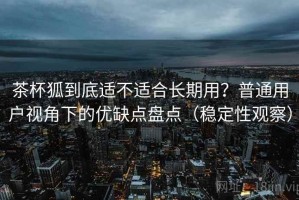 茶杯狐到底适不适合长期用？普通用户视角下的优缺点盘点（稳定性观察）