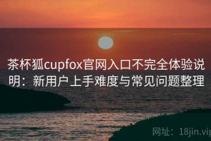 茶杯狐cupfox官网入口不完全体验说明：新用户上手难度与常见问题整理