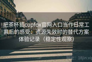 把茶杯狐cupfox官网入口当作日常工具后的感受：资源失效时的替代方案体验记录（稳定性观察）