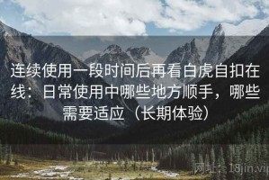 连续使用一段时间后再看白虎自扣在线：日常使用中哪些地方顺手，哪些需要适应（长期体验）
