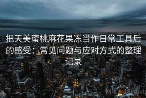 把天美蜜桃麻花果冻当作日常工具后的感受：常见问题与应对方式的整理记录