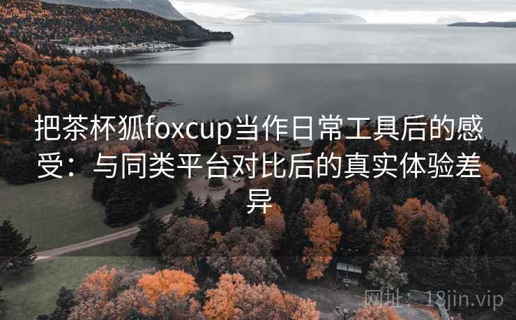 把茶杯狐foxcup当作日常工具后的感受：与同类平台对比后的真实体验差异