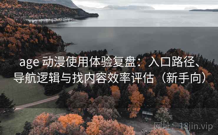 age 动漫使用体验复盘：入口路径、导航逻辑与找内容效率评估（新手向）