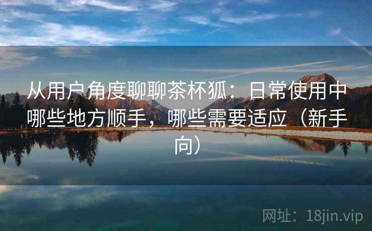 从用户角度聊聊茶杯狐：日常使用中哪些地方顺手，哪些需要适应（新手向）