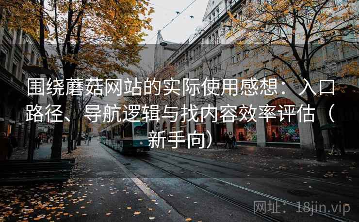 围绕蘑菇网站的实际使用感想:入口路径、导航逻辑与找内容效率评估(新手向) 围绕蘑菇网站的实际使用感想:入口路径、导航逻辑与找内容效率评估(新手向)