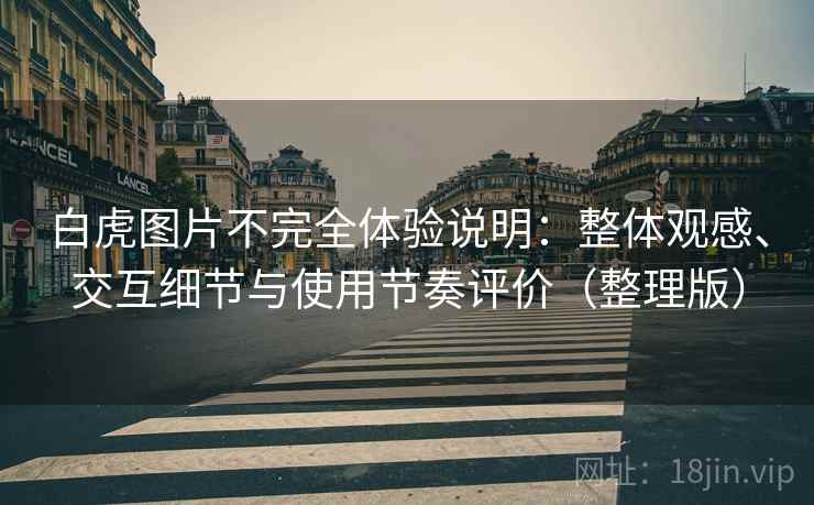 白虎图片不完全体验说明：整体观感、交互细节与使用节奏评价（整理版）