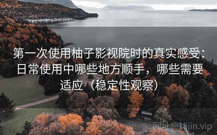 第一次使用柚子影视院时的真实感受：日常使用中哪些地方顺手，哪些需要适应（稳定性观察）